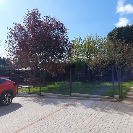 Penzion U Novotnych Jiřetín pod Jedlovou 外观 照片